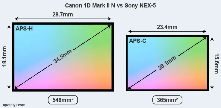 Canon 1D Mark II N and Sony NEX-5 sensor measures