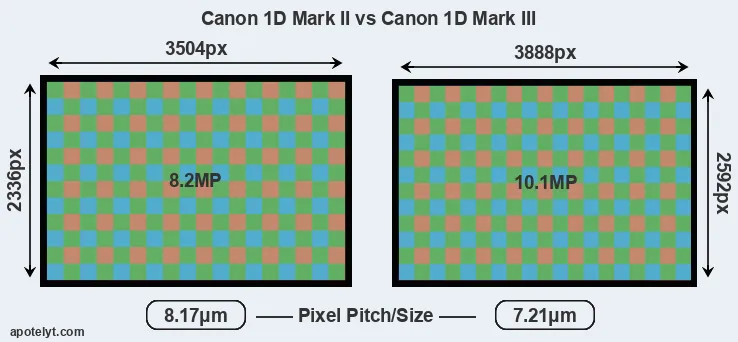 1D Mark II versus 1D Mark III MP
