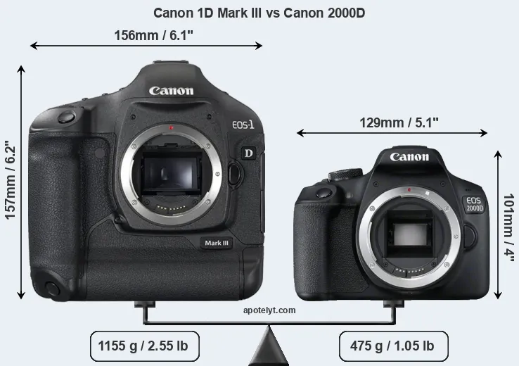 Size Canon 1D Mark III vs Canon 2000D