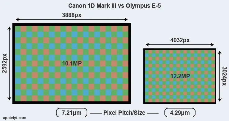 1D Mark III versus E-5 MP