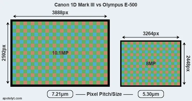 1D Mark III versus E-500 MP
