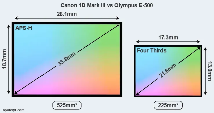 Canon 1D Mark III and Olympus E-500 sensor measures