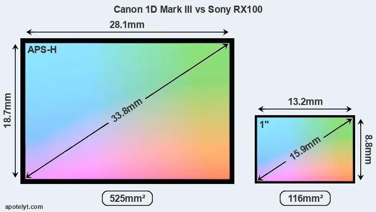 Canon 1D Mark III and Sony RX100 sensor measures