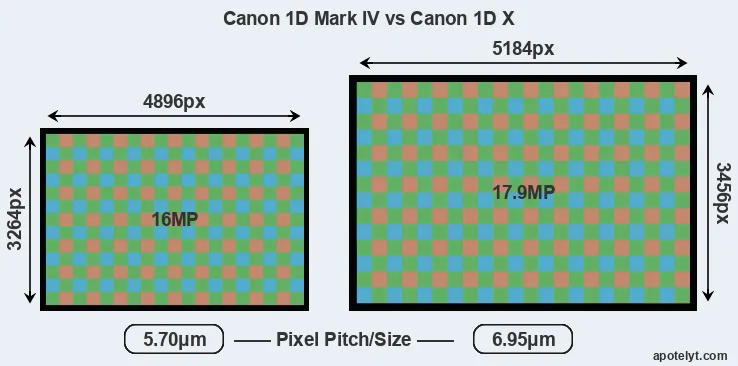 1D Mark IV versus 1DX MP