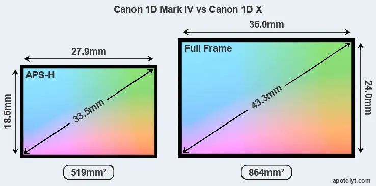Canon 1D Mark IV and Canon 1D X sensor measures