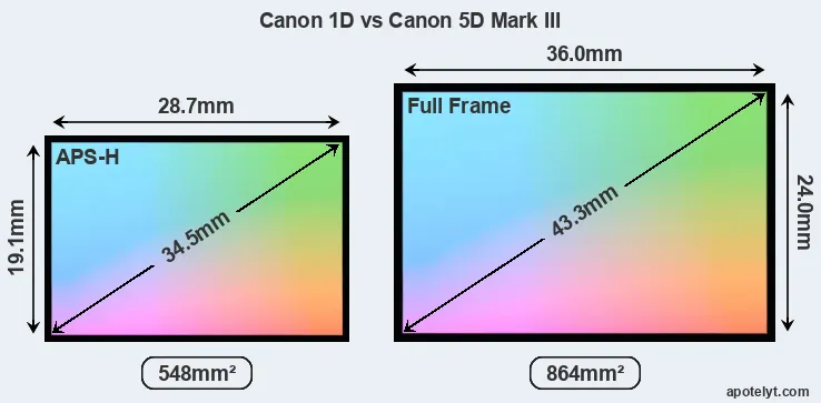 Canon 1D and Canon 5D Mark III sensor measures