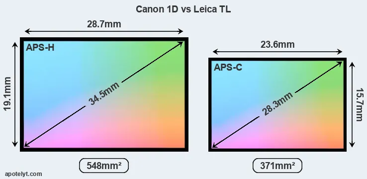 Canon 1D and Leica TL sensor measures