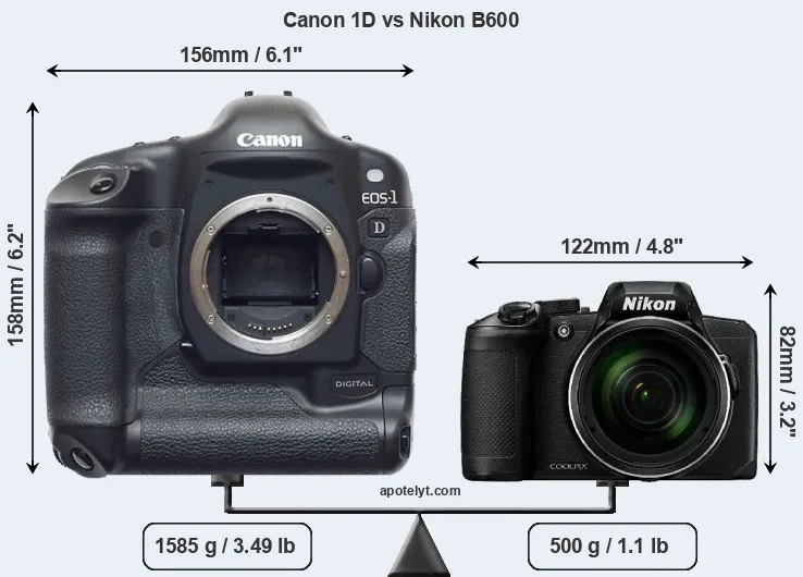 Size Canon 1D vs Nikon B600