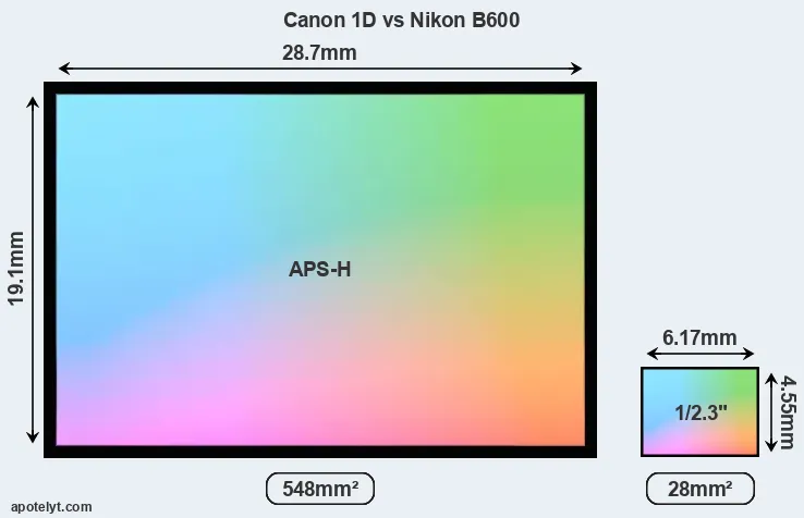 Canon 1D and Nikon B600 sensor measures