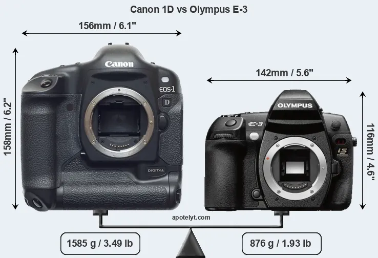 Size Canon 1D vs Olympus E-3