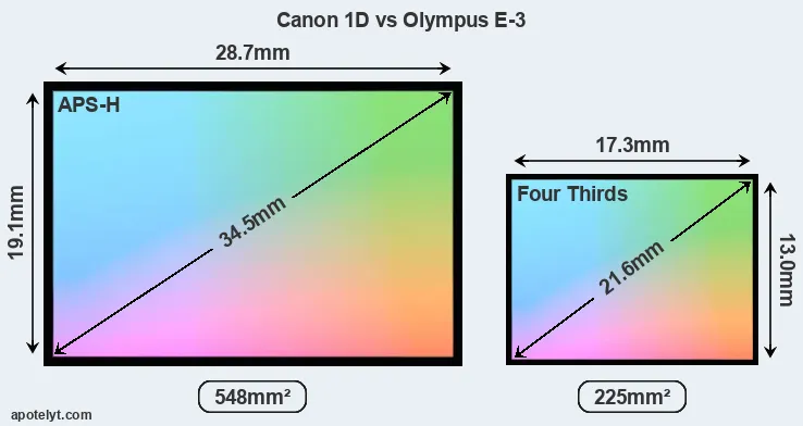 Canon 1D and Olympus E-3 sensor measures