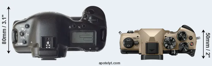 Compare 1D versus OM-5 II top