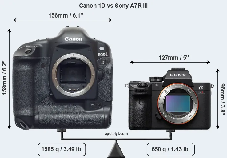 Size Canon 1D vs Sony A7R III