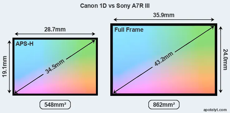 Canon 1D and Sony A7R III sensor measures