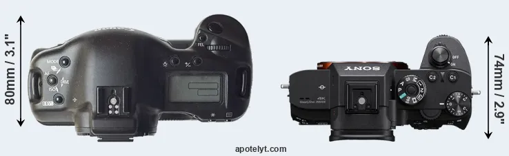 Compare 1D versus A7R III top