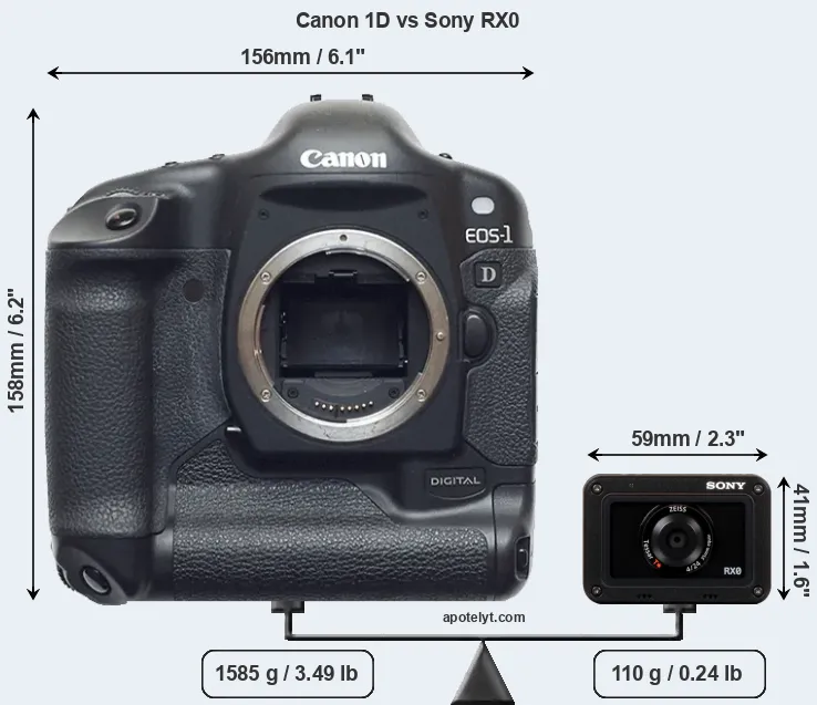 Size Canon 1D vs Sony RX0