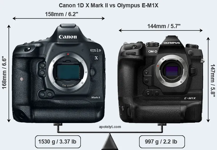Size Canon 1D X Mark II vs Olympus E-M1X