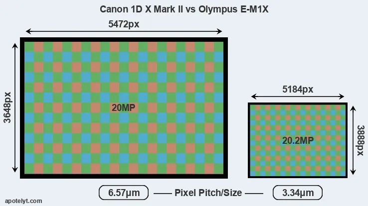 1DX Mark II versus E-M1X MP