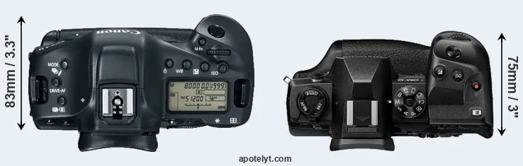 Compare 1DX Mark II versus E-M1X top