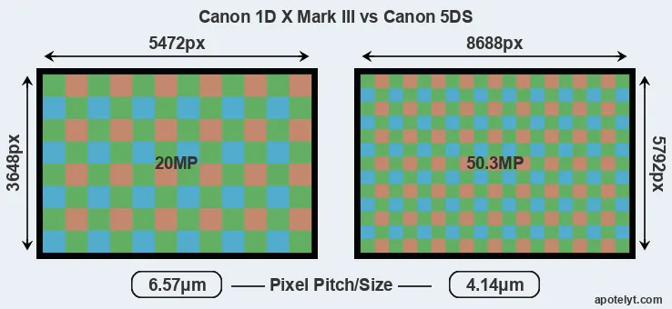 1DX Mark III versus 5DS MP