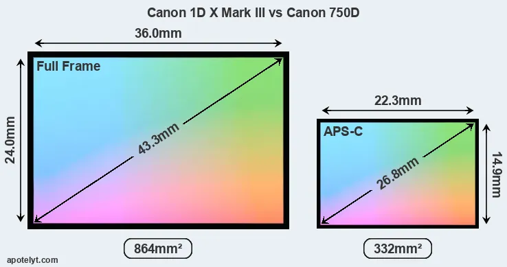 Canon 1D X Mark III and Canon 750D sensor measures