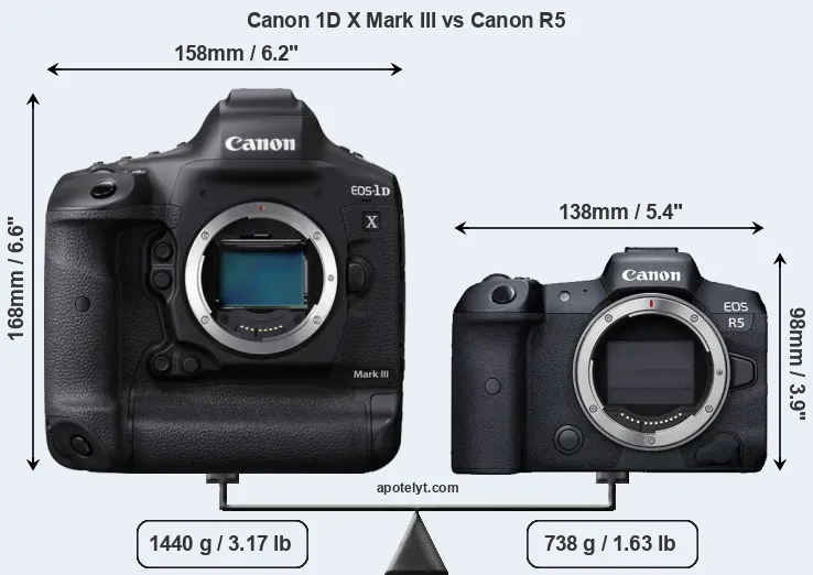 Size Canon 1D X Mark III vs Canon R5