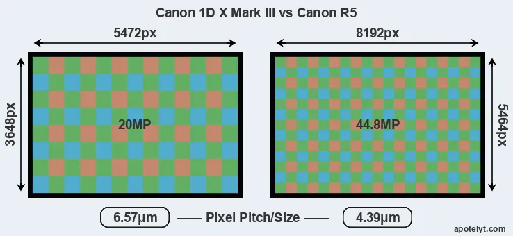 1DX Mark III versus R5 MP