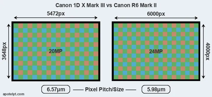 1DX Mark III versus R6 Mark II MP