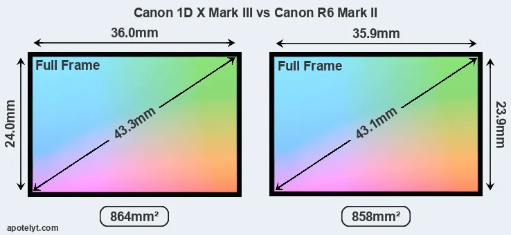 Canon 1D X Mark III and Canon R6 Mark II sensor measures
