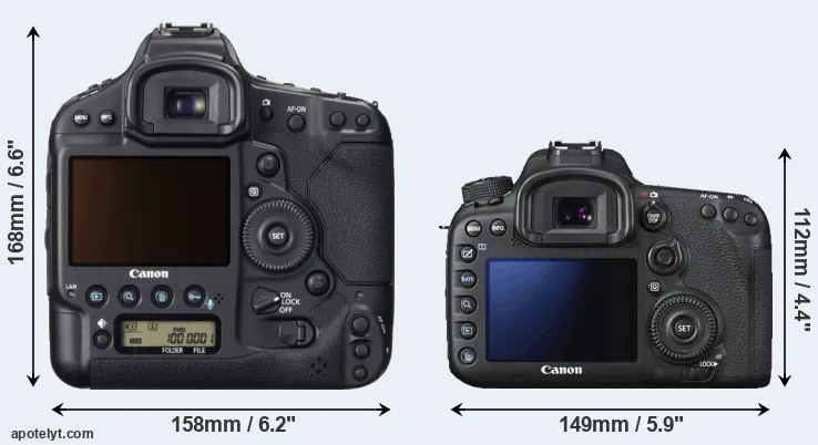 Comparison 1DX or 7D Mark II rear