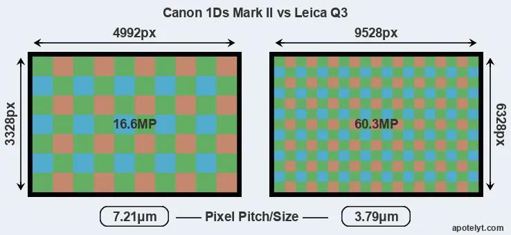 1Ds Mark II versus Q3 MP