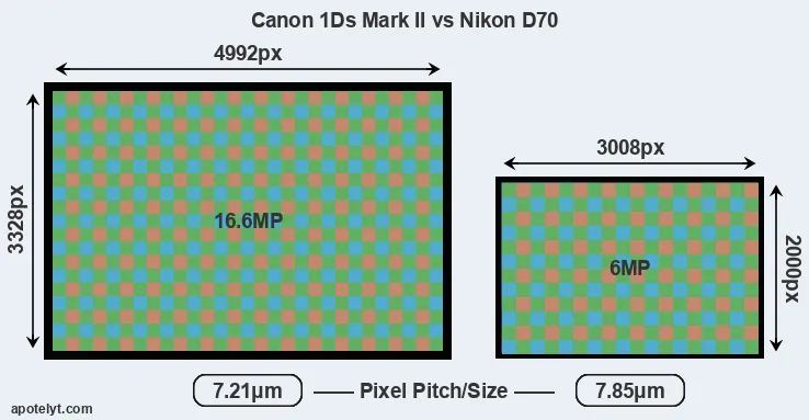 1Ds Mark II versus D70 MP