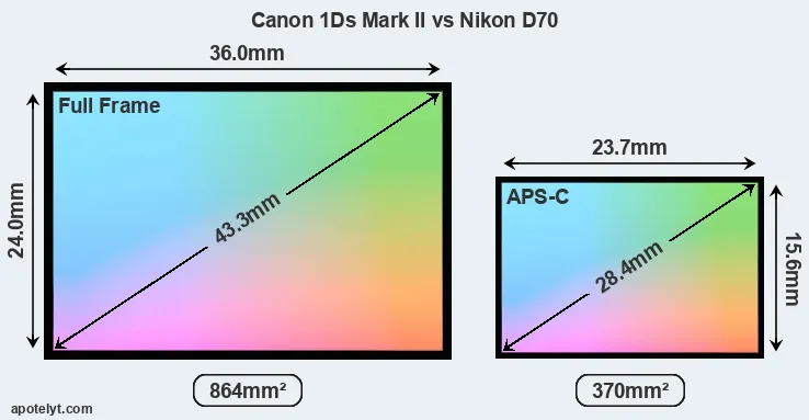 Canon 1Ds Mark II and Nikon D70 sensor measures