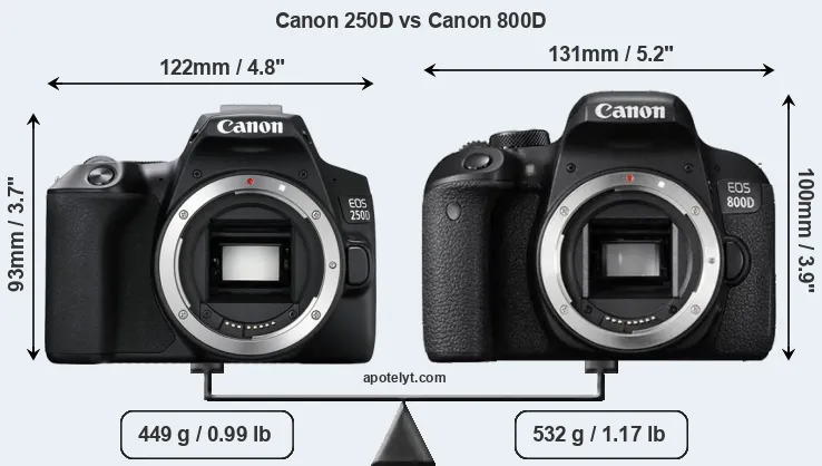Size Canon 250D vs Canon 800D