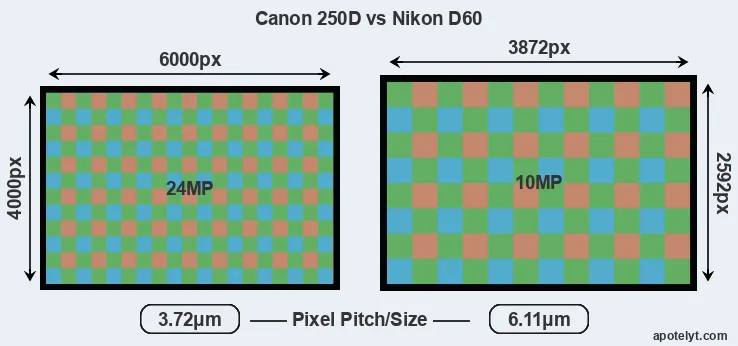 250D versus D60 MP