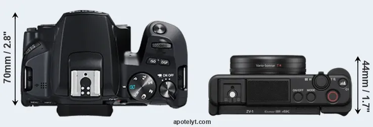 Compare 250D versus ZV-1 top