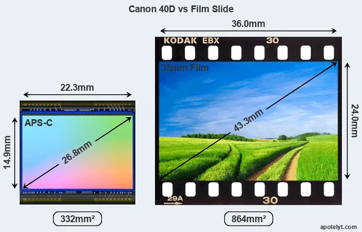 Canon 40D sensor measures