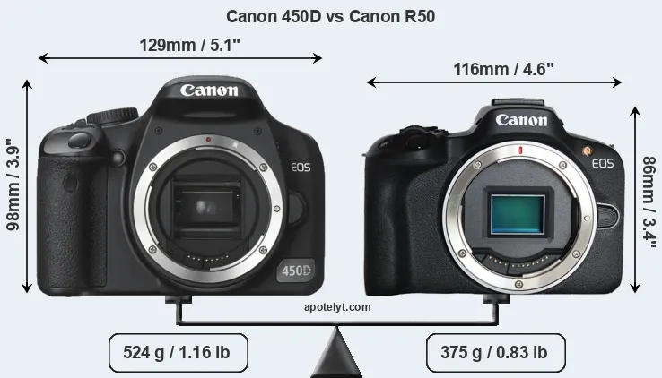 Size Canon 450D vs Canon R50