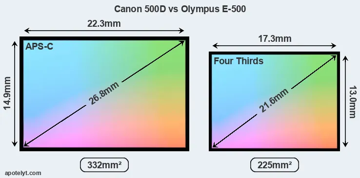 Canon 500D and Olympus E-500 sensor measures