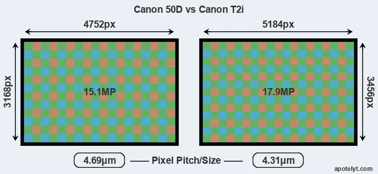 50D versus T2i MP