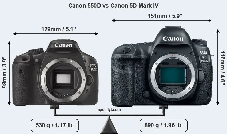Size Canon 550D vs Canon 5D Mark IV