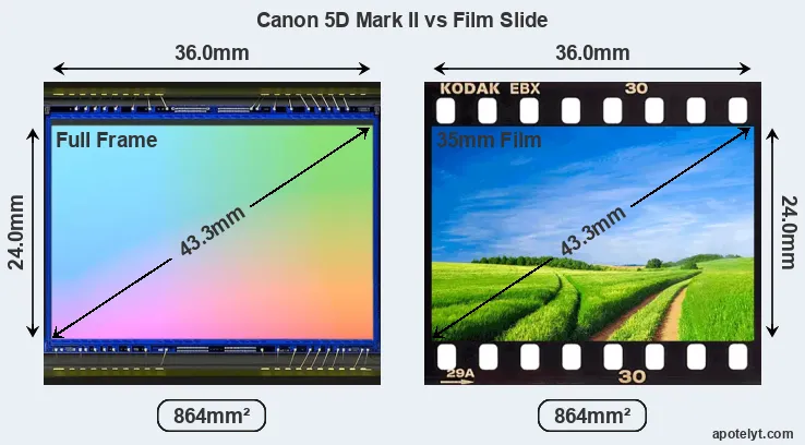 Canon 5D Mark II sensor measures