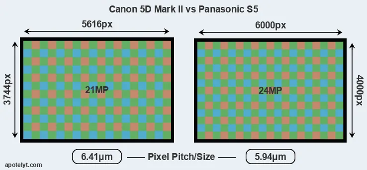 5D Mark II versus S5 MP