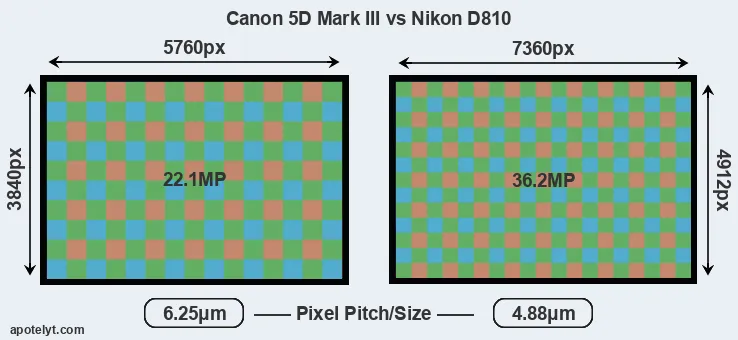 5D Mark III versus D810 MP