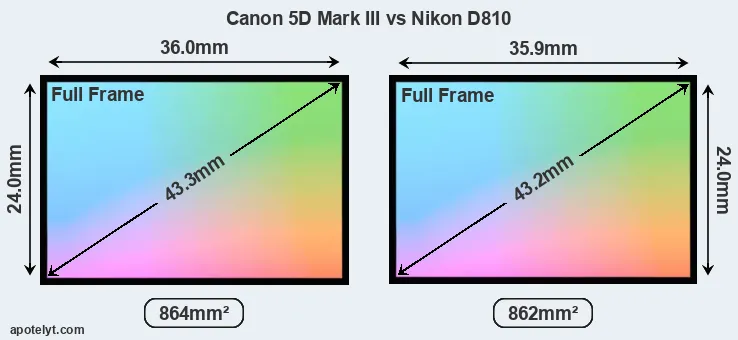 Canon 5D Mark III and Nikon D810 sensor measures