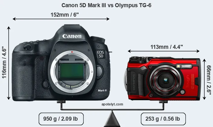 Size Canon 5D Mark III vs Olympus TG-6