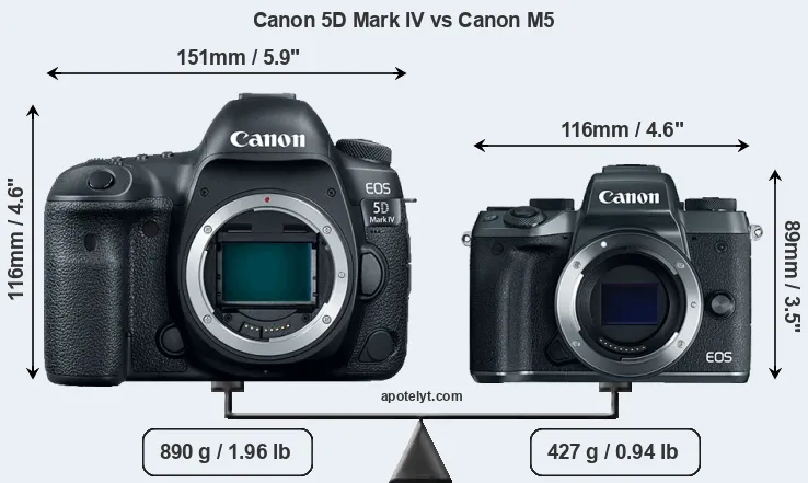 Size Canon 5D Mark IV vs Canon M5