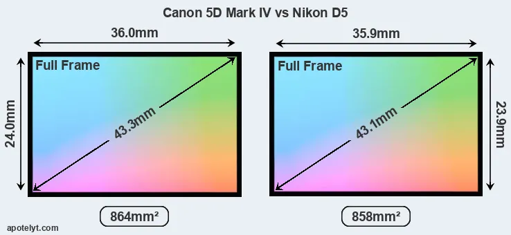Canon 5D Mark IV and Nikon D5 sensor measures