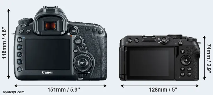 Comparison 5D Mark IV or Z30 rear