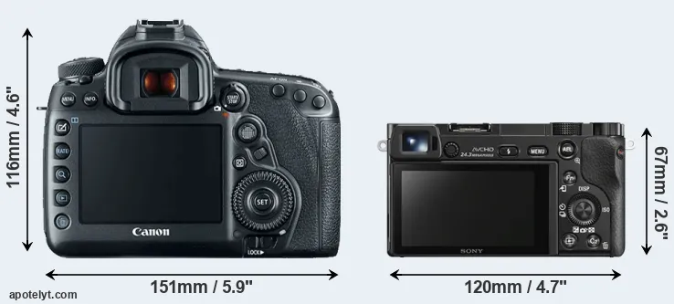 Comparison 5D Mark IV or A6000 rear